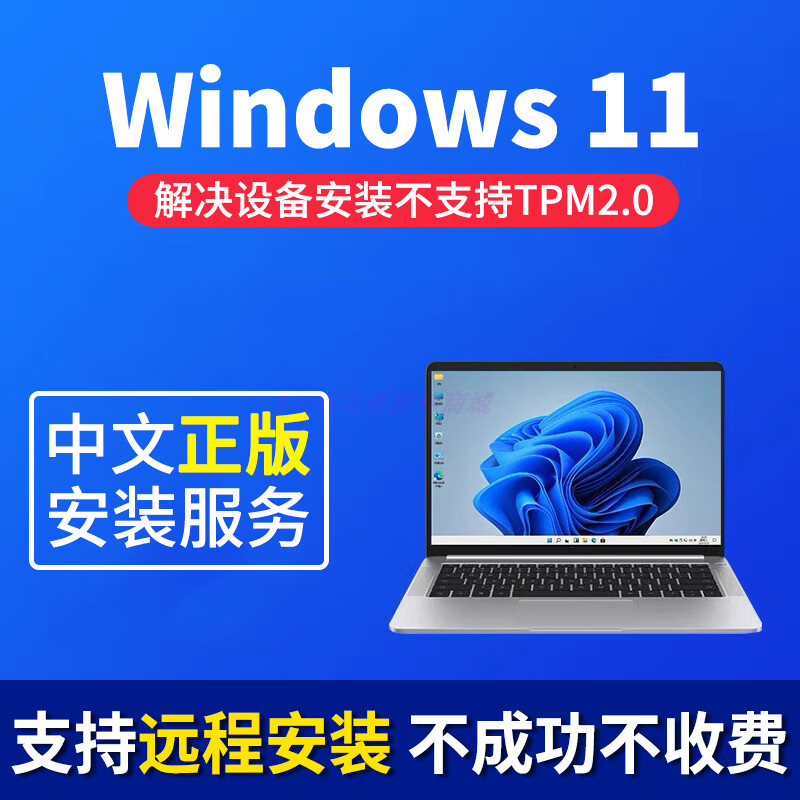 專業計算機系統服務指南 Win11系統重裝、遠程Win10無損升級、筆記本雙系統安裝