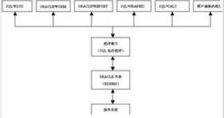 Oracle IF 后可以給多個條件嗎？計算機系統服務解析